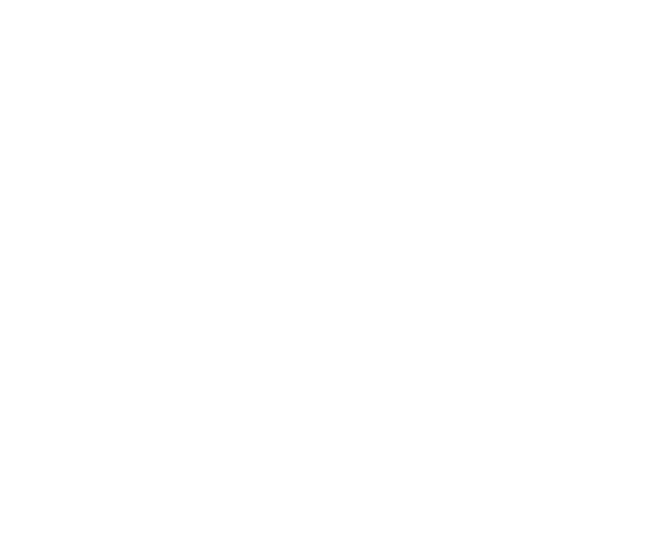 Polarskies logo