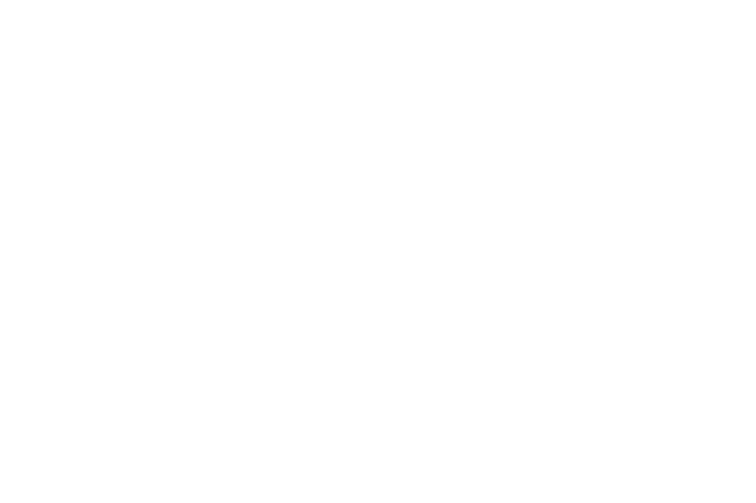 Polarskies Logo